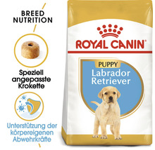 Royal Canin Labrador Retriever Puppy Hundetrockenfutter