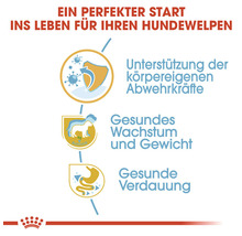 Grafische Darstellung zur Unterstützung der Abwehrkräfte, des gesunden Wachstums und der Verdauung von Hundewelpen.