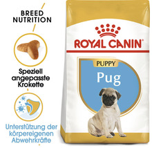 Royal Canin Puppy Mops Hundetrockenfutter