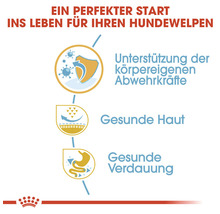 Grafische Darstellung zur Unterstützung der körpereigenen Abwehrkräfte, für gesunde Haut und gesunde Verdauung bei Hundewelpen