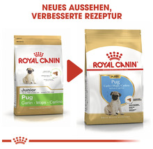 Royal Canin Hundefutter für Mops Welpen, verbesserte Rezeptur