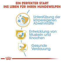 Grafik zur Unterstützung der Abwehrkräfte, Muskel- und Knochenentwicklung sowie gesunde Verdauung bei Hundewelpen.
