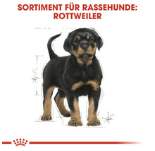 Welpenfutter für Rottweiler
