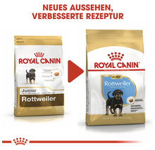 Royal Canin Rottweiler Trockenfutter für Welpen und Junghunde mit neuer Rezeptur