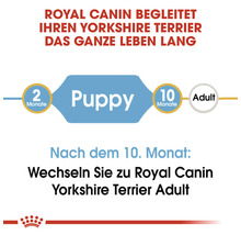 Royal Canin begleitet Ihren Yorkshire Terrier das ganze Leben lang. Grafik zur Futterumstellung von Puppy auf Adult nach dem 10. Monat.
