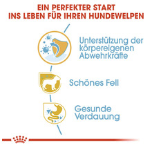 Informationen zur Unterstützung der körpereigenen Abwehrkräfte, schönes Fell und gesunde Verdauung für Welpenfutter.