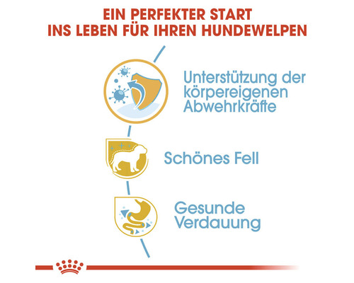 Informationen zur Unterstützung der körpereigenen Abwehrkräfte, schönes Fell und gesunde Verdauung für Welpenfutter.