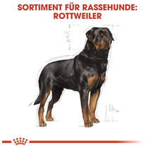 Hundefutter trocken, ROYAL CANIN CC Rottweiler Adult, 12 kg