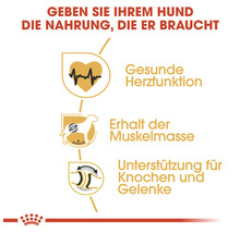 Hundefutter trocken, ROYAL CANIN CC Rottweiler Adult, 12 kg