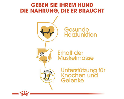 Information zur Unterstützung der Herzfunktion, des Erhalts der Muskelmasse sowie der Knochen und Gelenke des Hundes