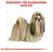 Illustration eines Shih Tzu Hundes für Rassehunde Produkte