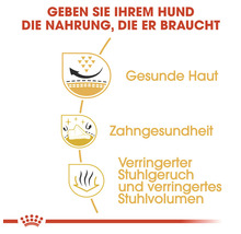 Illustration zur Unterstützung von gesunder Haut, Zahngesundheit sowie zur Reduzierung von Stuhlgeruch und -volumen durch Hundefutter.