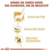 Illustration, die die Vorteile von Hundefutter zeigt: schönes Fell, gesunde Haut und hohe Akzeptanz