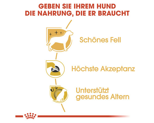 Vorteile des Hundefutters: schönes Fell, höchste Akzeptanz und Unterstützung für gesundes Altern.