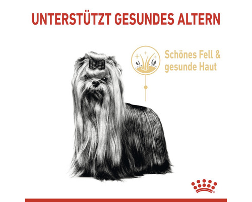 Hund mit dem Hinweis unterstützt gesundes Altern sowie schönes Fell und gesunde Haut