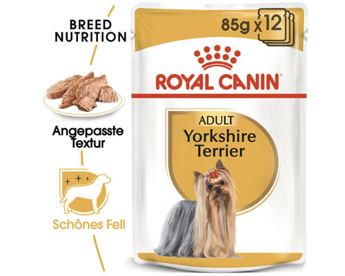 Royal Canin Adult Yorkshire Terrier Hundenassfutter, 12er Pack