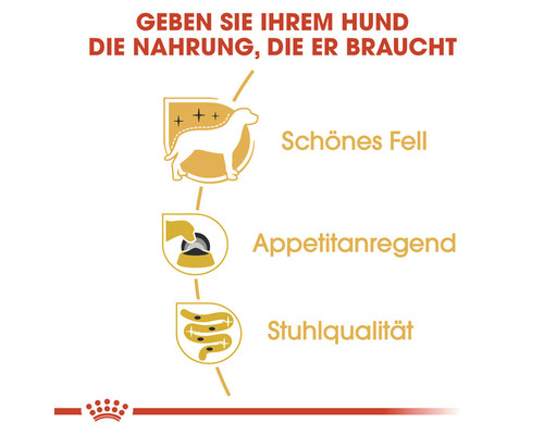 Symbole für schönes Fell, Appetitanregung und Stuhlqualität bei Hundefutter