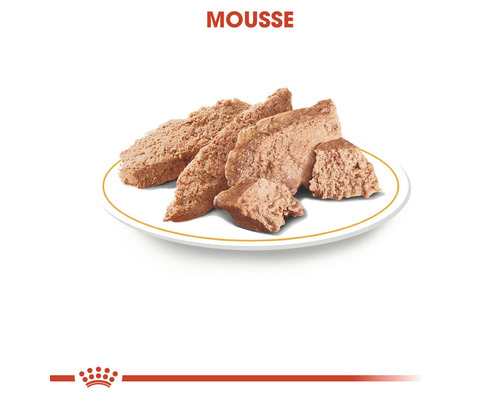 Katzenfutter Mousse auf einem Teller