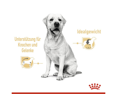 Abbildung eines sitzenden Hundes mit Hinweisen zur Unterstützung von Knochen, Gelenken und zum Erreichen des Idealgewichts