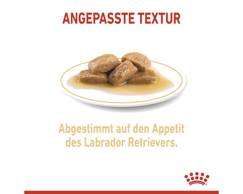 Hundenahrung auf einem Teller für Labrador Retriever