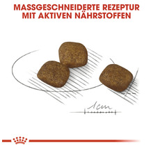 Hundefutter Brocken mit angepasster Rezeptur