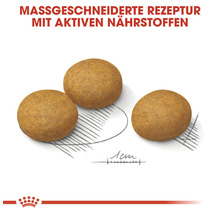 Drei Hundefutter-Kroketten mit aktiven Nährstoffen