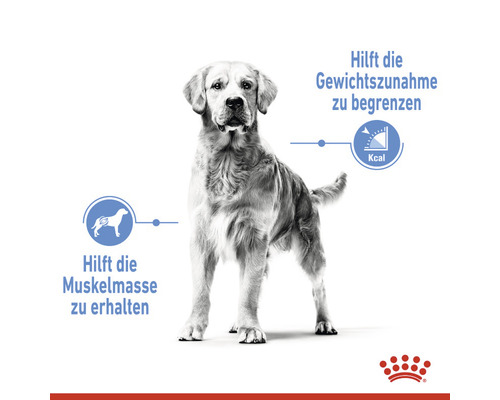 Illustration eines Hundes mit Informationen zur Gewichtskontrolle und zum Erhalt der Muskelmasse