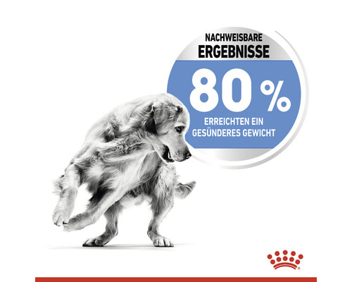 Ein Hund ist neben einer Kennzeichnung abgebildet, die besagt, dass 80 Prozent ein gesünderes Gewicht erreicht haben.