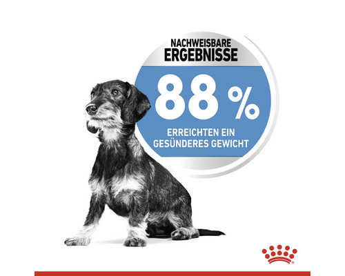 Dackel mit dem Hinweis, dass 88 Prozent der Hunde ein gesünderes Gewicht erreichten