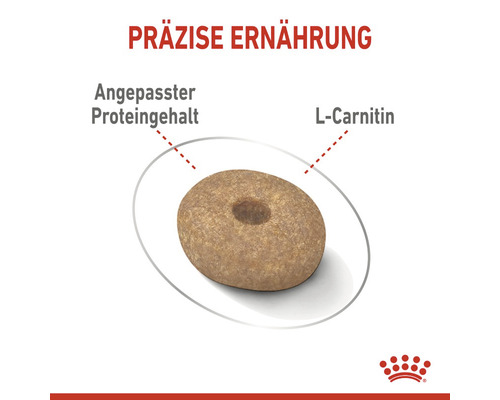 Hundefutterkrokette mit angepasstem Proteingehalt und L-Carnitin