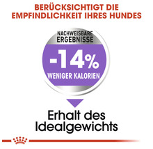 Weniger Kalorien für den Erhalt des Idealgewichts bei Hunden