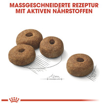 Hundefutter-Kroketten mit Loch