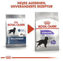 Royal Canin Maxi Sterilised Hundefutter im Beutel, neues Aussehen, unveränderte Rezeptur
