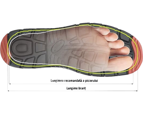 Image d''une semelle de chaussure avec un pied pour la détermination de la taille