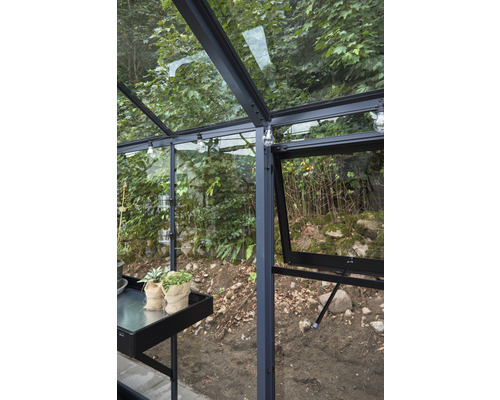 Vue intérieure d''une serre avec étagère à plantes et fenêtre ouverte