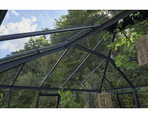 Vue de l''intérieur d''une serre avec cadre en acier et toit en verre