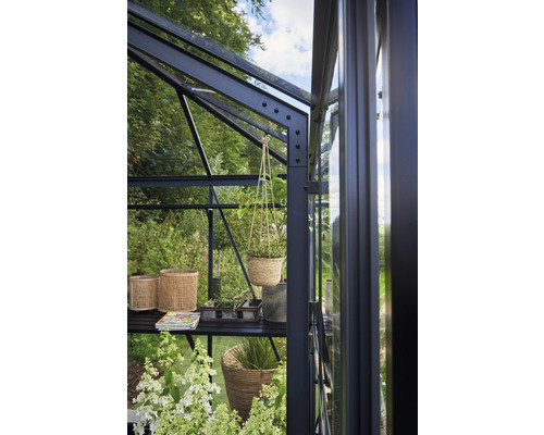 Vue détaillée d''une serre avec des étagères et des plantes