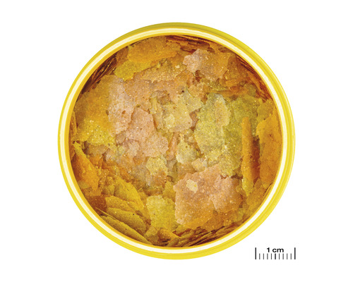 Flockenfutter für Fische in Dose