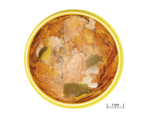 Nourriture pour poissons en flocons dans une boîte