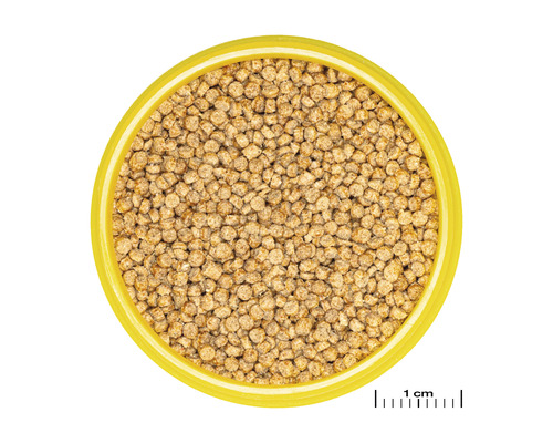 Nourriture pour poissons granulés dans un récipient jaune