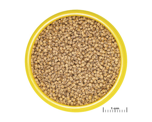 Fischnahrung Pellets in gelber Schale