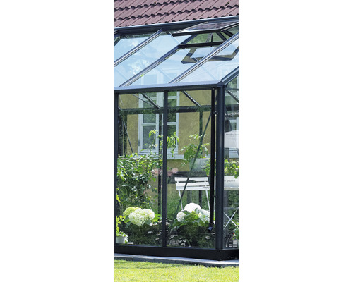 Serre avec plantes et fenêtres ouvertes