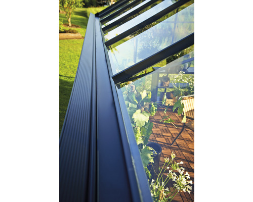 Vue détaillée d''une serre avec des plantes à l''intérieur