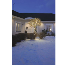 Beleuchteter Baum vor einem Wohnhaus im Wintergarten.