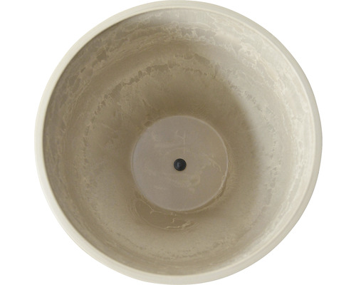 Vue intérieure d''un pot de fleurs