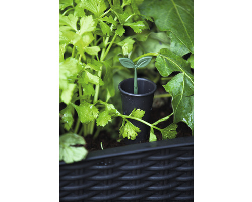 Bewässerungssystem für Pflanzen im Gartenbeet.