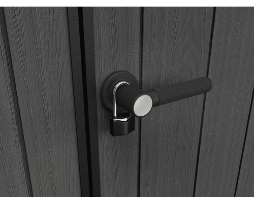 Vue détaillée d''une porte de jardin avec poignée et cadenas