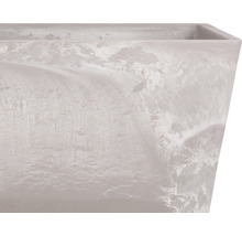 Vue détaillée d''un bac à fleurs