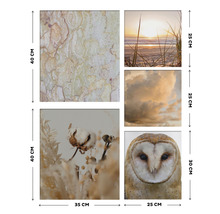 Tableau mural en plusieurs parties avec des motifs naturels et des indications de taille