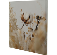 Toile décorative avec motif de coton et fleurs séchées